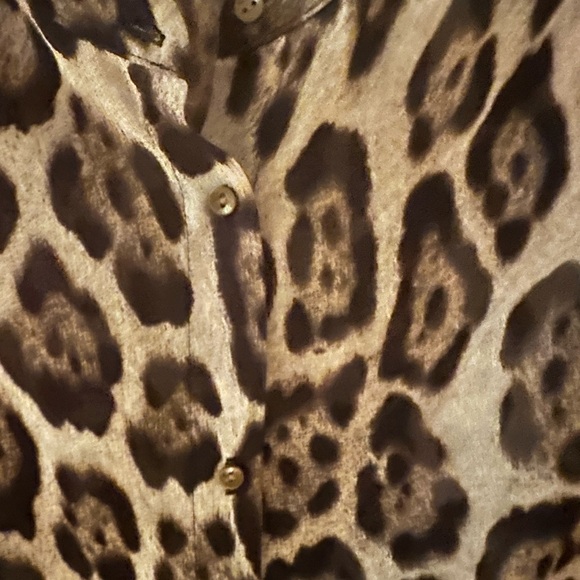 Zara sheer leopard print tunic size M - Picture 3 of 8